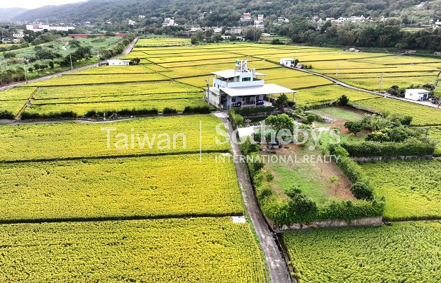 新埔黃金稻田超美農地1989坪周邊環境